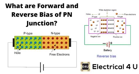 pn class action.